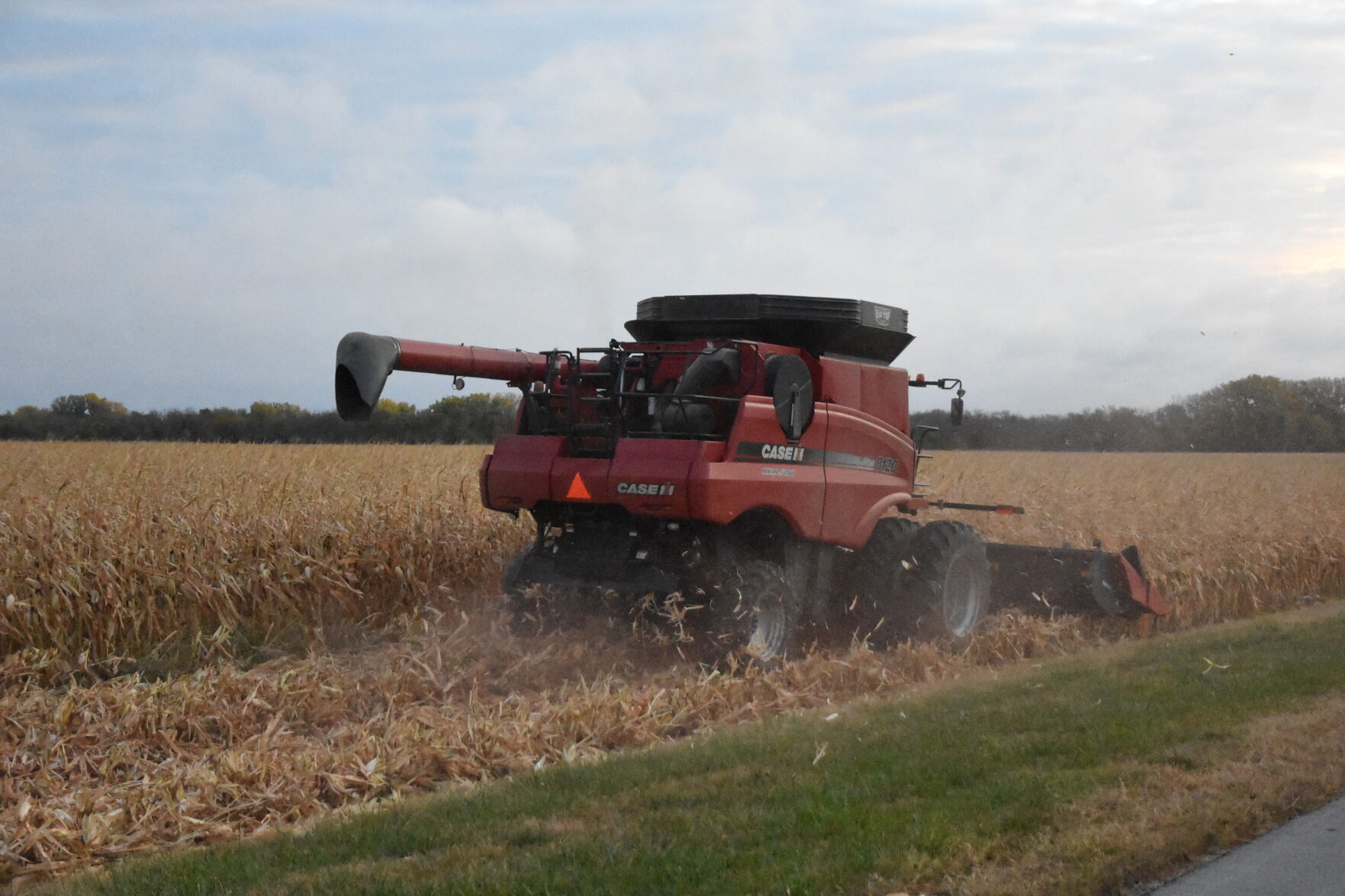 Rempel Harvest (15).JPG
